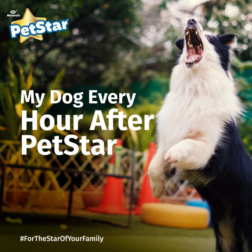 petstar-2
