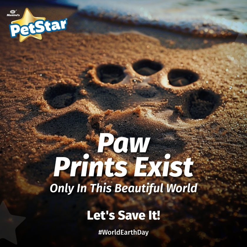 petstar-4