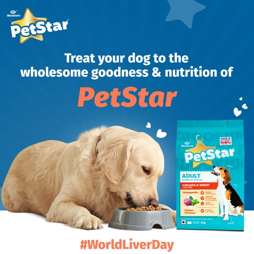 petstar-5